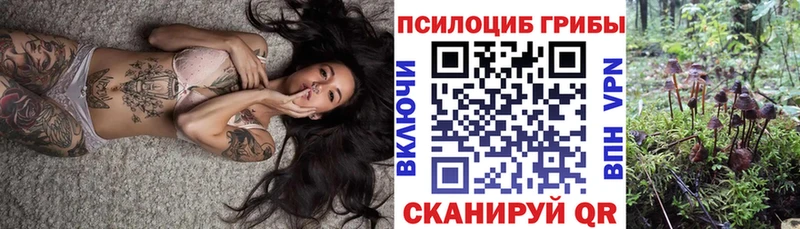 Псилоцибиновые грибы мицелий  МЕГА ССЫЛКА  Яровое  купить наркотики цена 
